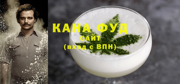 эйфоретик Гусь-Хрустальный