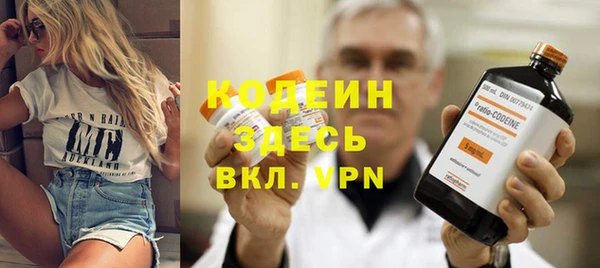 эйфоретик Гусь-Хрустальный