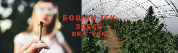 экстази Гусиноозёрск