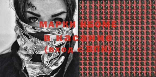 эйфоретик Гусь-Хрустальный