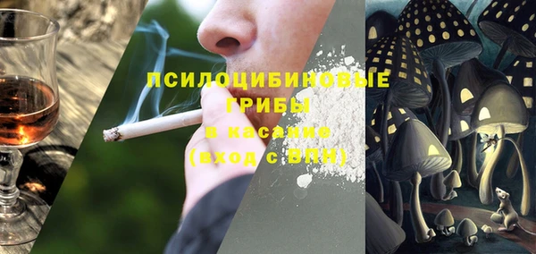 мдма Гусев