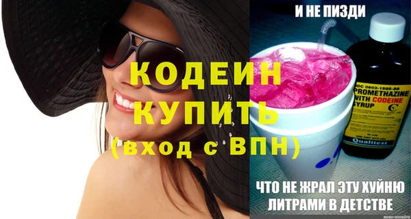 эйфоретик Гусь-Хрустальный
