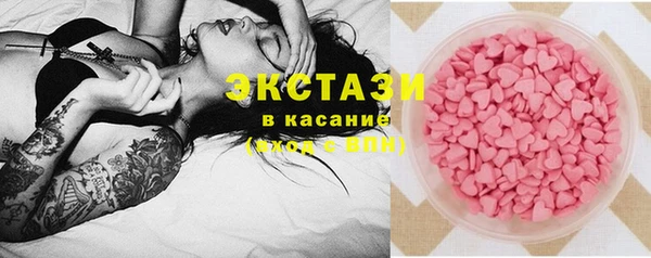 эйфоретик Гусь-Хрустальный