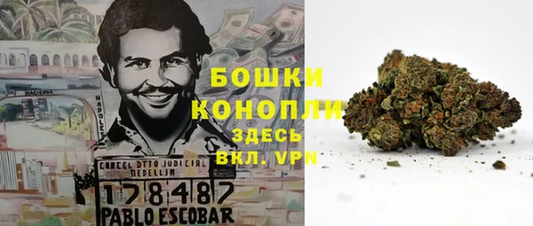 эйфоретик Гусь-Хрустальный