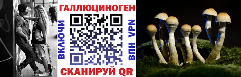 Галлюциногенные грибы Magic Shrooms  Купить где  Бор 